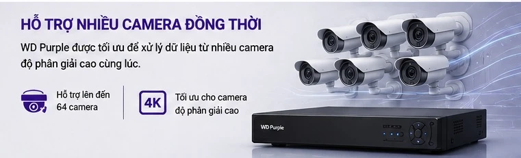 Ổ Cứng WD Purple Là Gì? Vì Sao Được Thiết Kế Riêng Cho Camera Giám Sát?