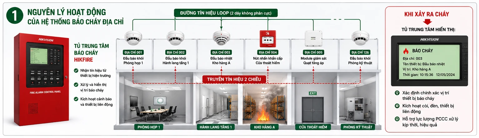 Báo Cháy Địa Chỉ Là Gì