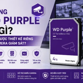 Ổ Cứng WD Purple Là Gì? Vì Sao Được Thiết Kế Riêng Cho Camera Giám Sát?