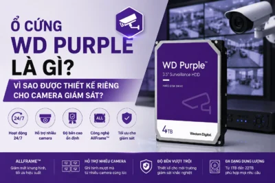 Ổ Cứng WD Purple Là Gì? Vì Sao Được Thiết Kế Riêng Cho Camera Giám Sát?