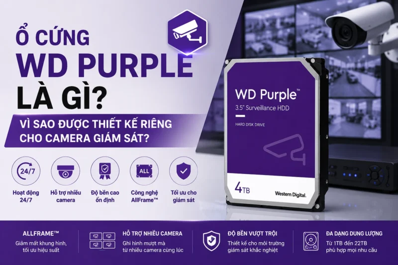 Ổ Cứng WD Purple Là Gì? Vì Sao Được Thiết Kế Riêng Cho Camera Giám Sát?