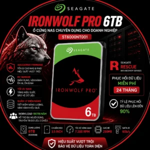 Ổ Cứng NAS Seagate IronWolf Pro 6TB ST6000NT001