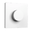 Import placeholder for 21881